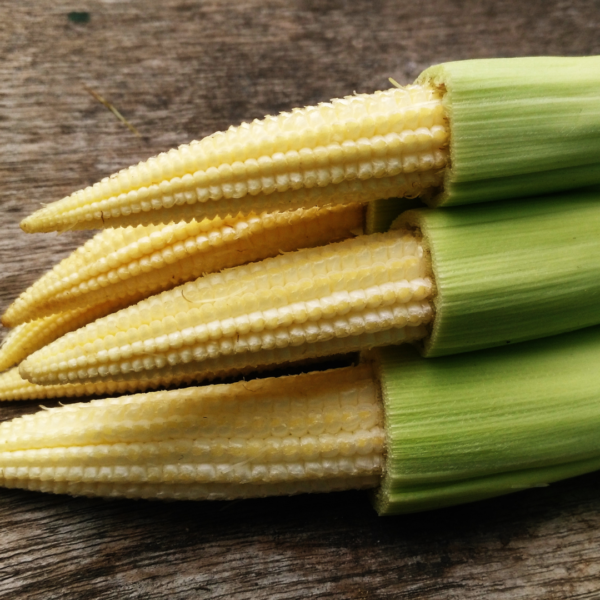 Baby Corn