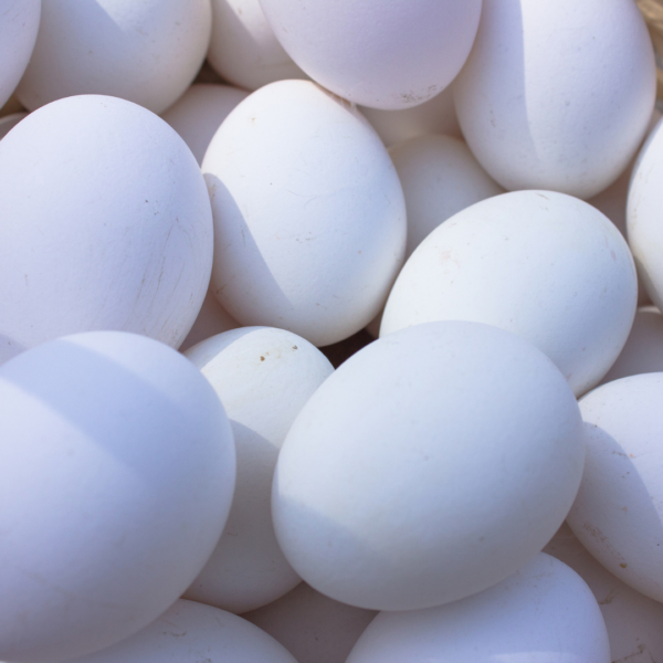Boiler Eggs - Image 3