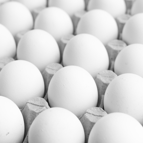 Boiler Eggs - Image 2
